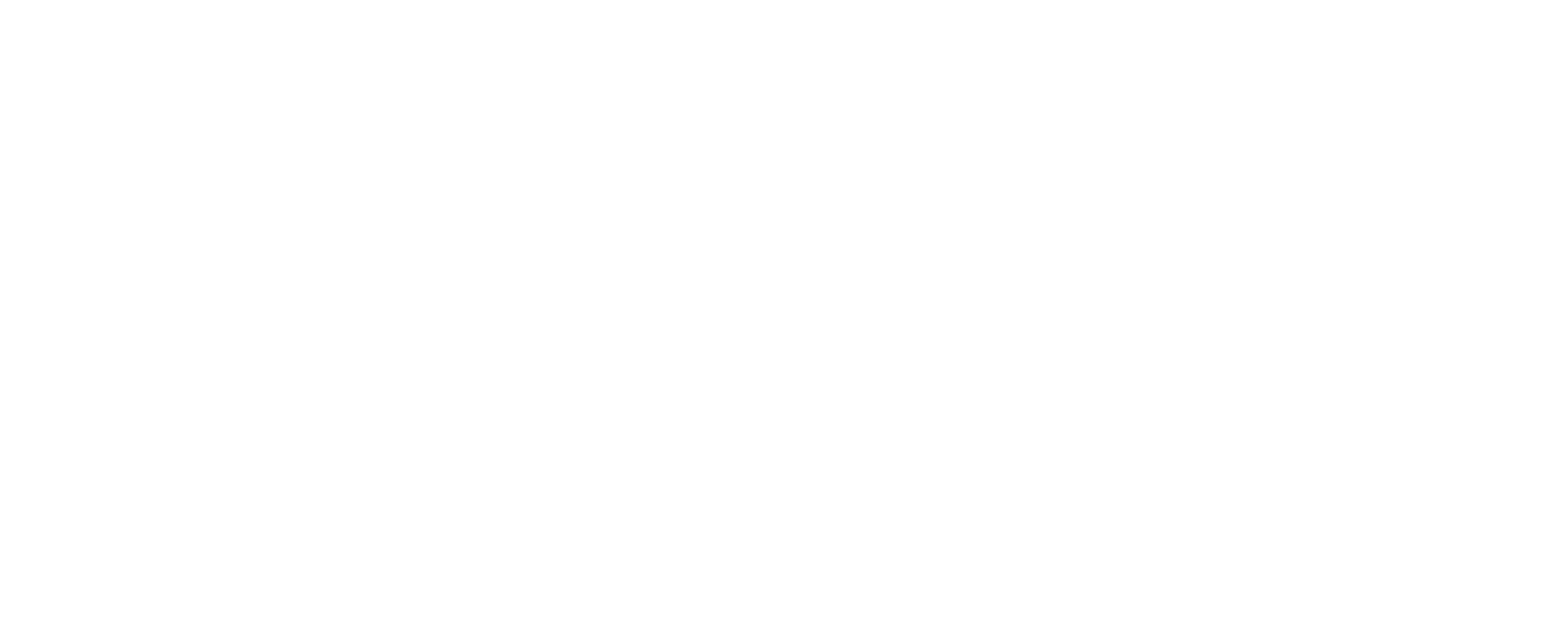 Nextstellis-Logo-FR